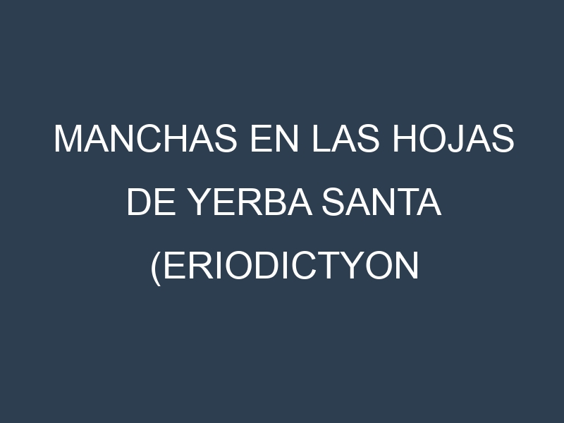 Manchas en las hojas de Yerba santa (Eriodictyon californicum, mountain balm): Identificación, Causas y Estrategias de Control Efectivo
