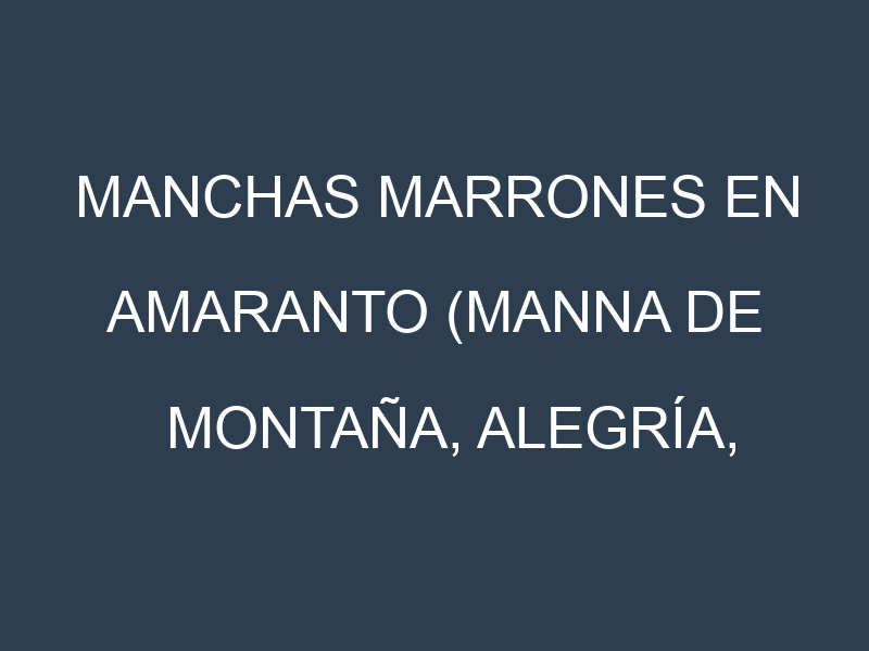 Manchas Marrones en Amaranto (Manna de montaña, Alegría, Mercado, Opopeo). Hojas con manchas marrones en Amaranto (Manna de montaña, Alegría, Mercado, Opopeo).