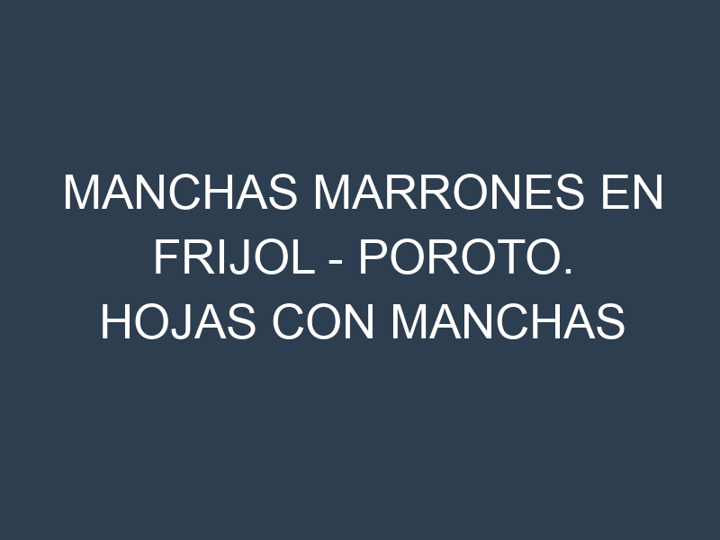Manchas Marrones en Frijol – Poroto. Hojas con manchas marrones en Frijol – Poroto.
