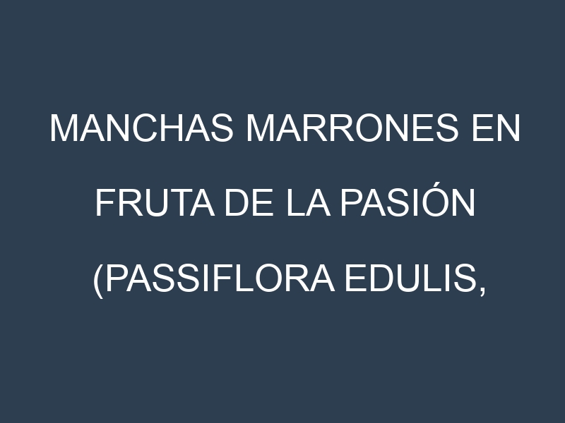 Manchas Marrones en Fruta de la pasión (Passiflora edulis, Maracuyá, Granadilla). Hojas con manchas marrones en Fruta de la pasión (Passiflora edulis, Maracuyá, Granadilla).
