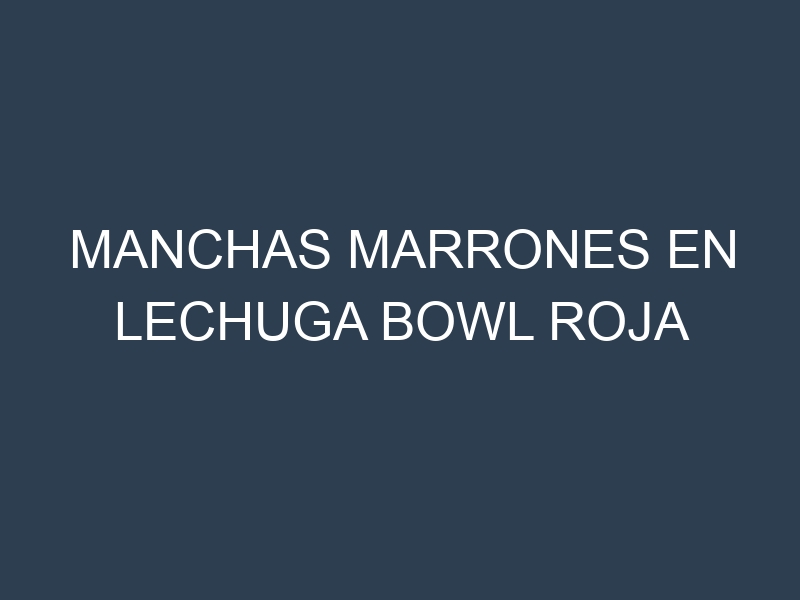 Manchas Marrones en Lechuga Bowl Roja