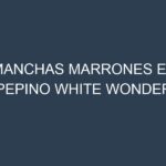 Manchas Marrones en Pepino White Wonder