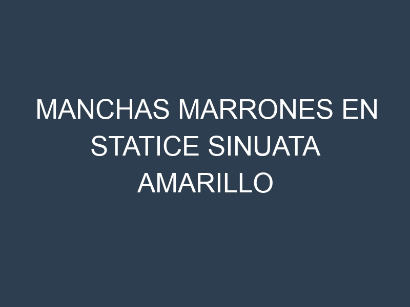 Manchas Marrones en Statice Sinuata Amarillo