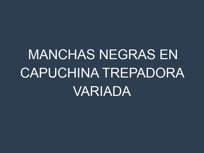 Manchas Negras en Capuchina Trepadora Variada