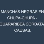 Manchas Negras en Chupa-chupa – Quararibea cordata: Causas, Efectos y Manejo