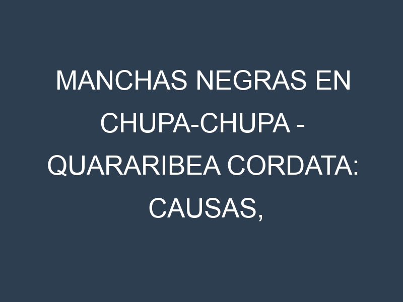 Manchas Negras en Chupa-chupa – Quararibea cordata: Causas, Efectos y Manejo
