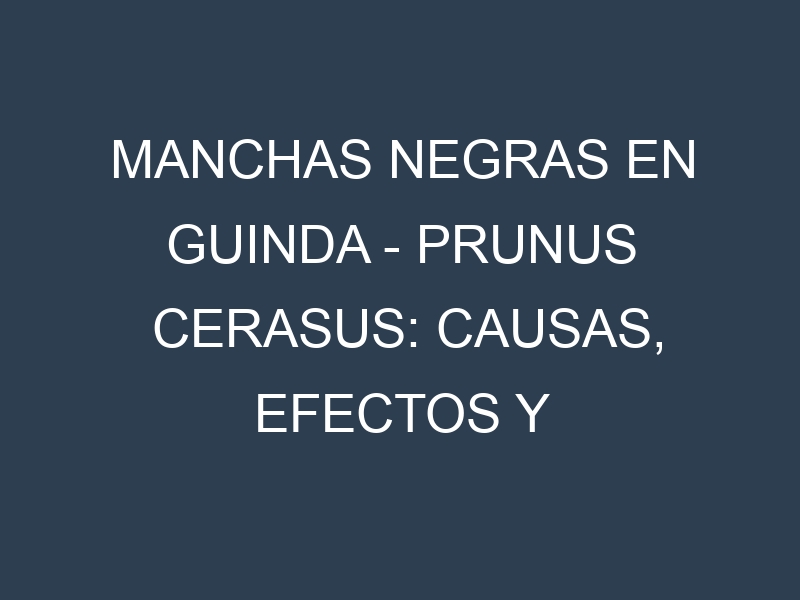 Manchas Negras en Guinda – Prunus cerasus: Causas, Efectos y Manejo