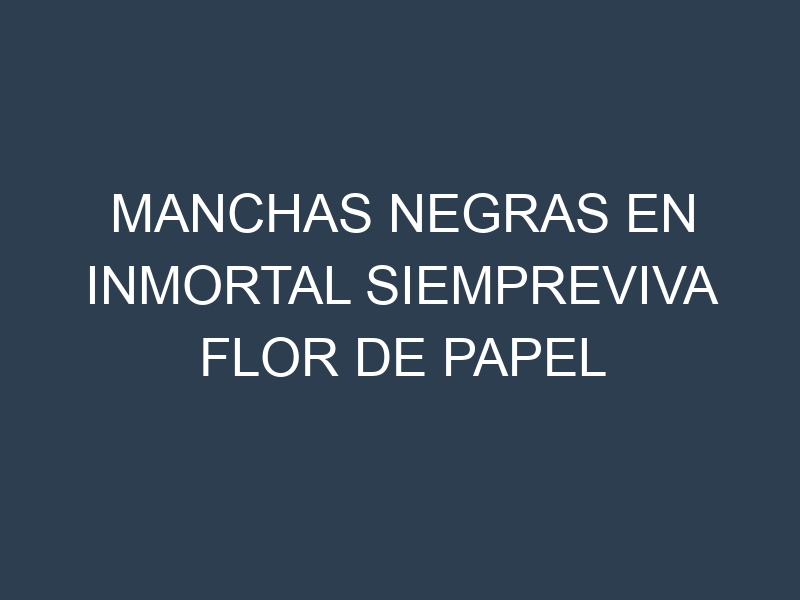 Manchas Negras en Inmortal Siempreviva Flor De Papel