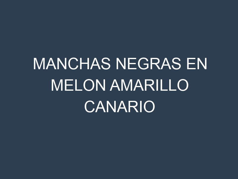 Manchas Negras en Melon Amarillo Canario