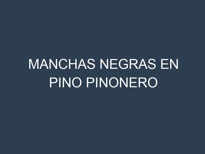 Manchas Negras en Pino Pinonero