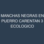 Manchas Negras en Puerro Carentan 3 Ecologico