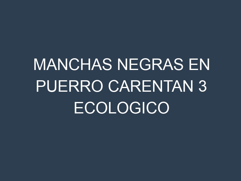 Manchas Negras en Puerro Carentan 3 Ecologico