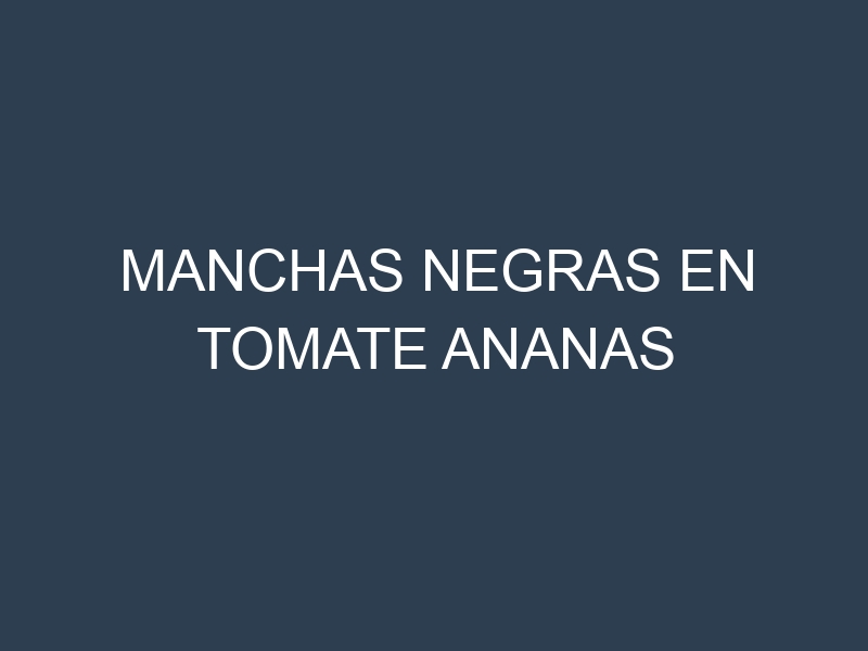 Manchas Negras en Tomate Ananas