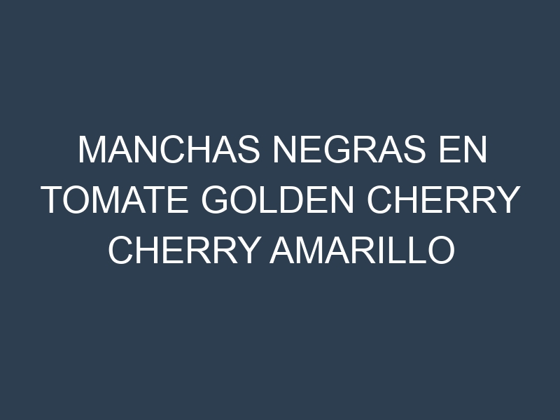 Manchas Negras en Tomate Golden Cherry Cherry Amarillo
