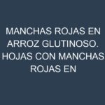 Manchas rojas en Arroz glutinoso. Hojas con manchas rojas en Arroz glutinoso.