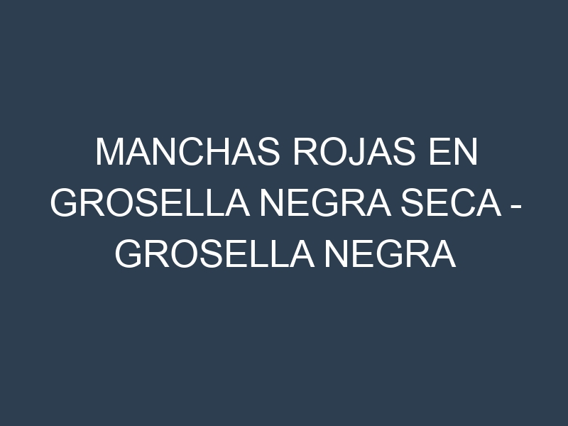 Manchas rojas en Grosella negra seca – Grosella negra deshidratada. Hojas con manchas rojas en Grosella negra seca – Grosella negra deshidratada.