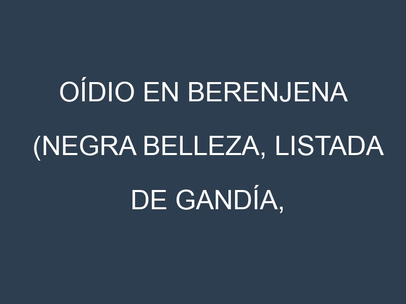 Oídio en Berenjena (Negra Belleza, Listada de Gandía, Violeta de Florencia, Blanca): síntomas, ciclo de vida y estrategias de control