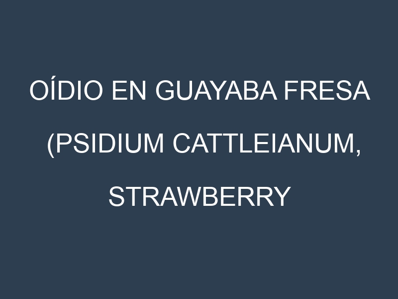 Oídio en Guayaba fresa (Psidium cattleianum, Strawberry guava, Red cattley guava): síntomas, ciclo de vida y estrategias de control