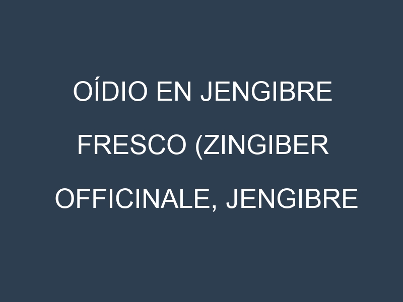Oídio en Jengibre fresco (Zingiber officinale, Jengibre fresco común, Jengibre fresco rallado): síntomas, ciclo de vida y estrategias de control