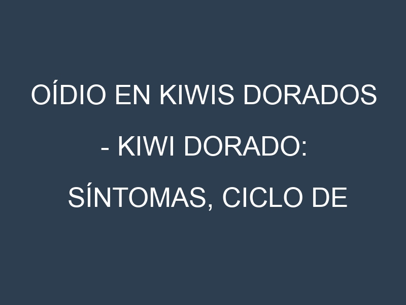 Oídio en Kiwis dorados – Kiwi dorado: síntomas, ciclo de vida y estrategias de control
