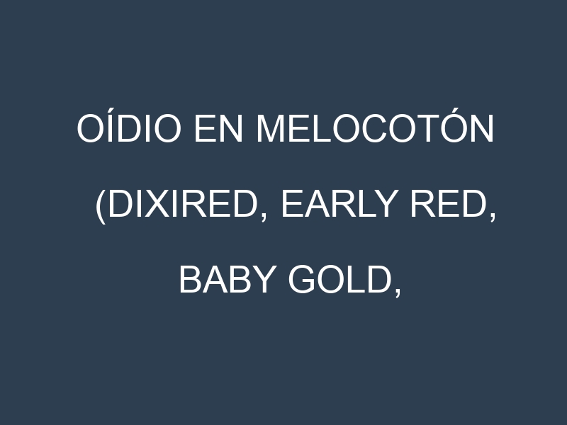 Oídio en Melocotón (Dixired, Early Red, Baby Gold, Redhaven): síntomas, ciclo de vida y estrategias de control