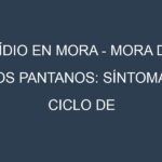 Oídio en Mora – Mora de los pantanos: síntomas, ciclo de vida y estrategias de control
