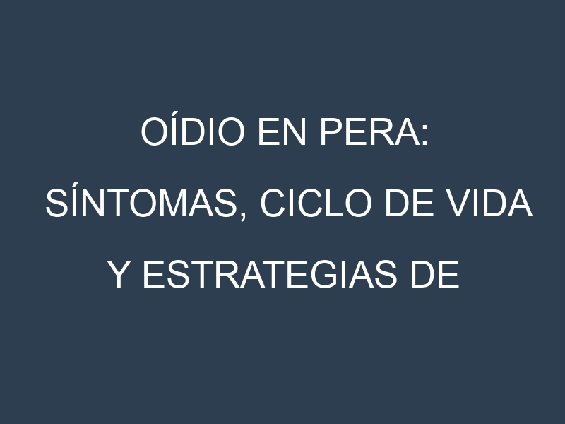 Oídio en Pera: síntomas, ciclo de vida y estrategias de control
