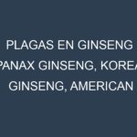Plagas en Ginseng (Panax ginseng, Korean ginseng, American ginseng). Control biológico y Manejo de plagas.