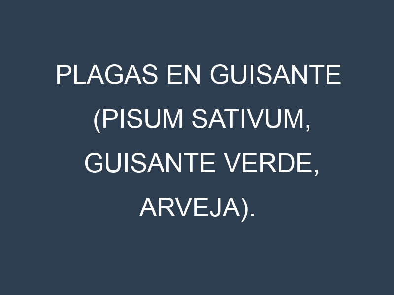 Plagas en Guisante (Pisum sativum, Guisante verde, Arveja). Control biológico y Manejo de plagas.