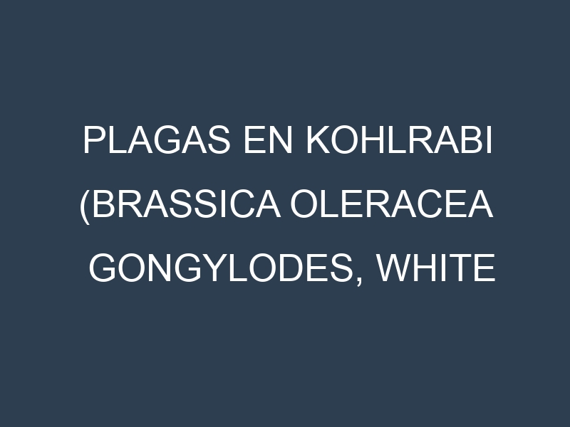 Plagas en Kohlrabi (Brassica oleracea gongylodes, White Vienna, Purple Vienna, Superschmelz). Control biológico y Manejo de plagas.