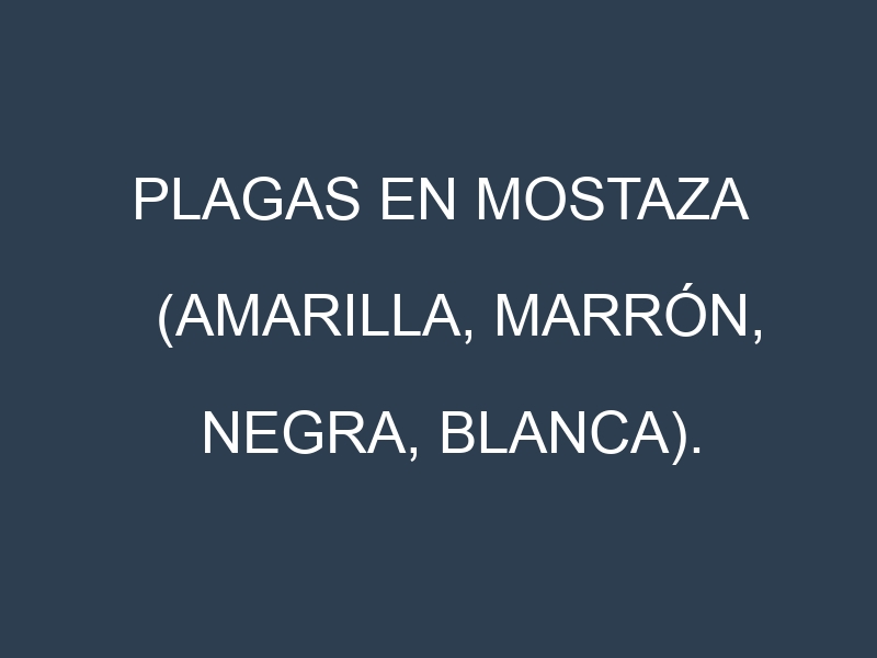Plagas en Mostaza (Amarilla, Marrón, Negra, Blanca). Control biológico y Manejo de plagas.