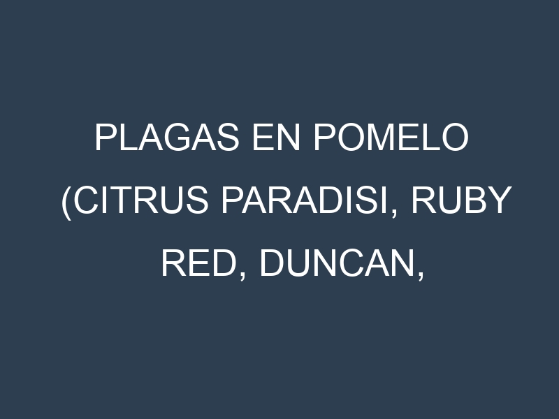 Plagas en Pomelo (Citrus paradisi, Ruby Red, Duncan, Oroblanco). Control biológico y Manejo de plagas.