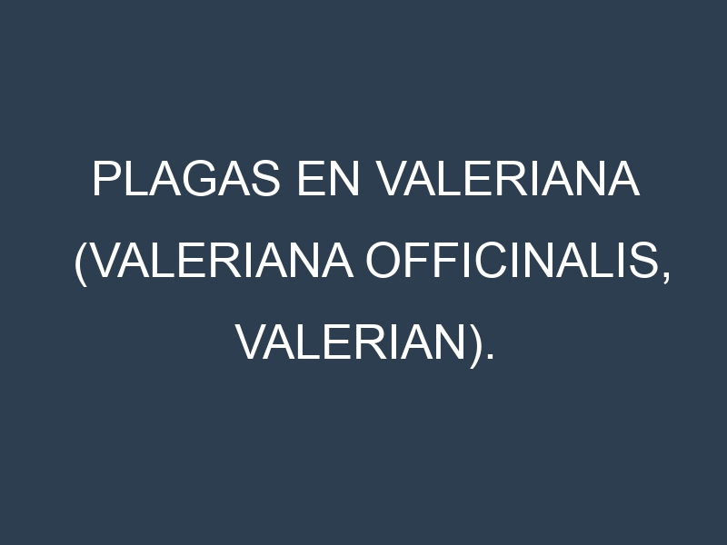 Plagas en Valeriana (Valeriana officinalis, Valerian). Control biológico y Manejo de plagas.
