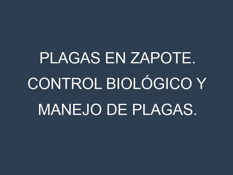 Plagas en Zapote. Control biológico y Manejo de plagas.