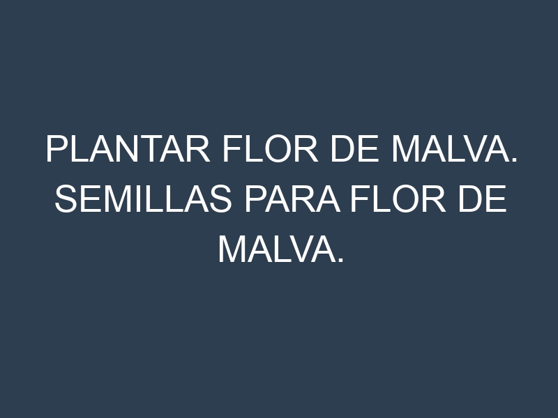 Plantar Flor De Malva. Semillas para Flor De Malva. Enfermedades Flor De Malva.