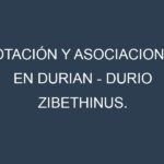 Rotación y Asociaciones en Durian – Durio zibethinus. Estrategias de rotación y Beneficios de las asociaciones de cultivos.