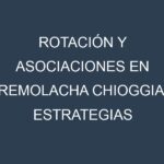 Rotación y Asociaciones en Remolacha chioggia. Estrategias de rotación y Beneficios de las asociaciones de cultivos.