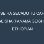 ¿Se ha secado tu Café geisha (Panama Geisha, Ethiopian Geisha, La Esmeralda Geisha, Gesha Village, Hacienda La Esmeralda)? Pasos para Detectar, Corregir y Prevenir.