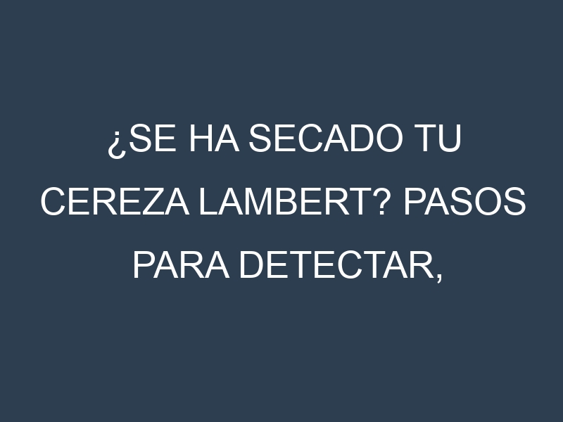 ¿Se ha secado tu Cereza Lambert? Pasos para Detectar, Corregir y Prevenir.