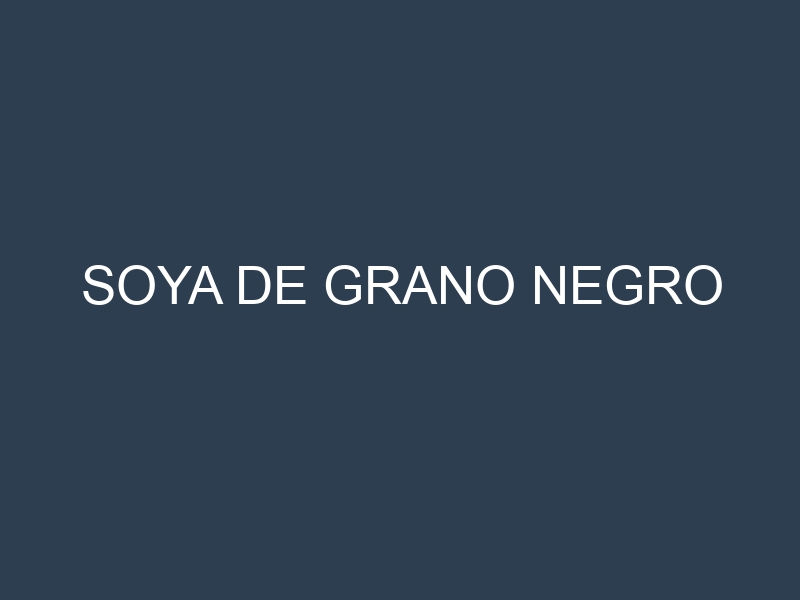 Soya de grano negro