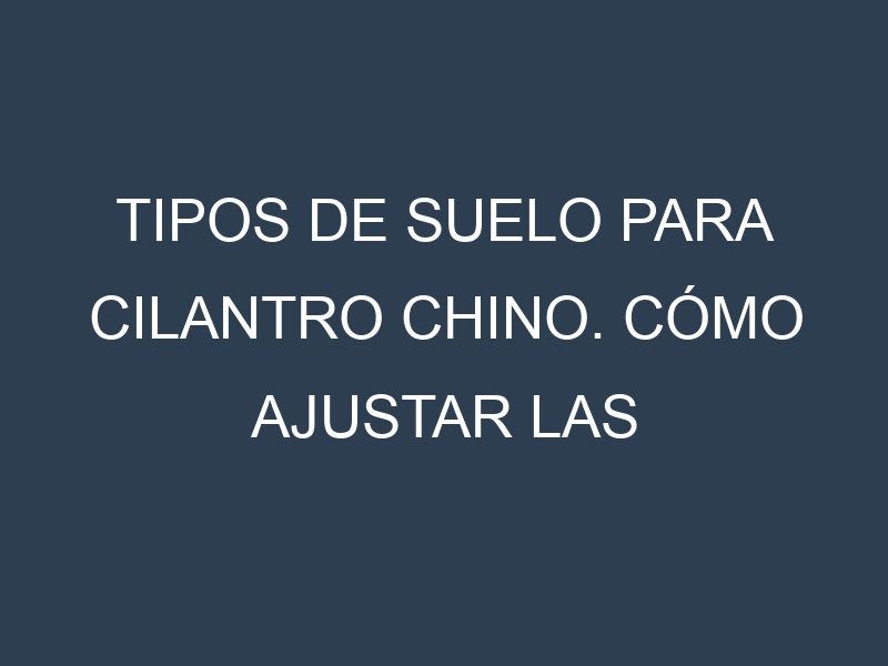 Tipos de suelo para Cilantro chino. Cómo ajustar las condiciones del suelo.