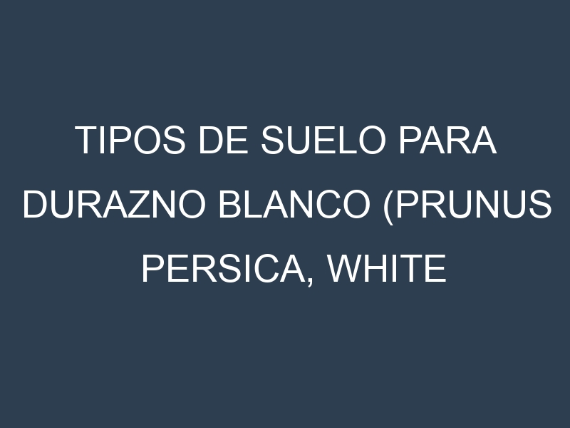 Tipos de suelo para Durazno blanco (Prunus persica, white peach). Cómo ajustar las condiciones del suelo.