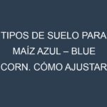 Tipos de suelo para Maíz azul – Blue corn. Cómo ajustar las condiciones del suelo.