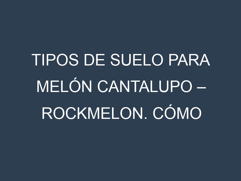 Tipos de suelo para Melón cantalupo – Rockmelon. Cómo ajustar las condiciones del suelo.