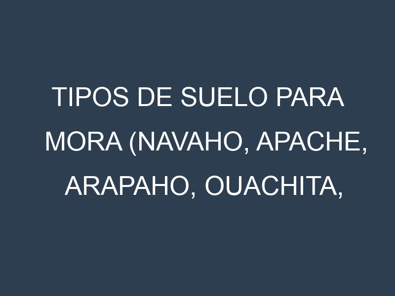 Tipos de suelo para Mora (Navaho, Apache, Arapaho, Ouachita, Triple Crown). Cómo ajustar las condiciones del suelo.