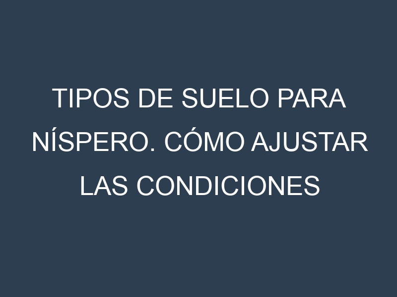 Tipos de suelo para Níspero. Cómo ajustar las condiciones del suelo.