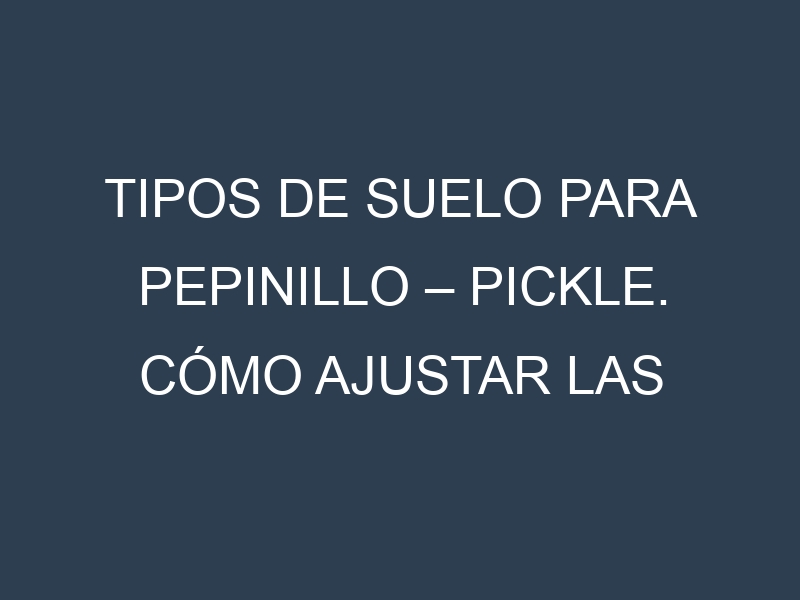 Tipos de suelo para Pepinillo – Pickle. Cómo ajustar las condiciones del suelo.