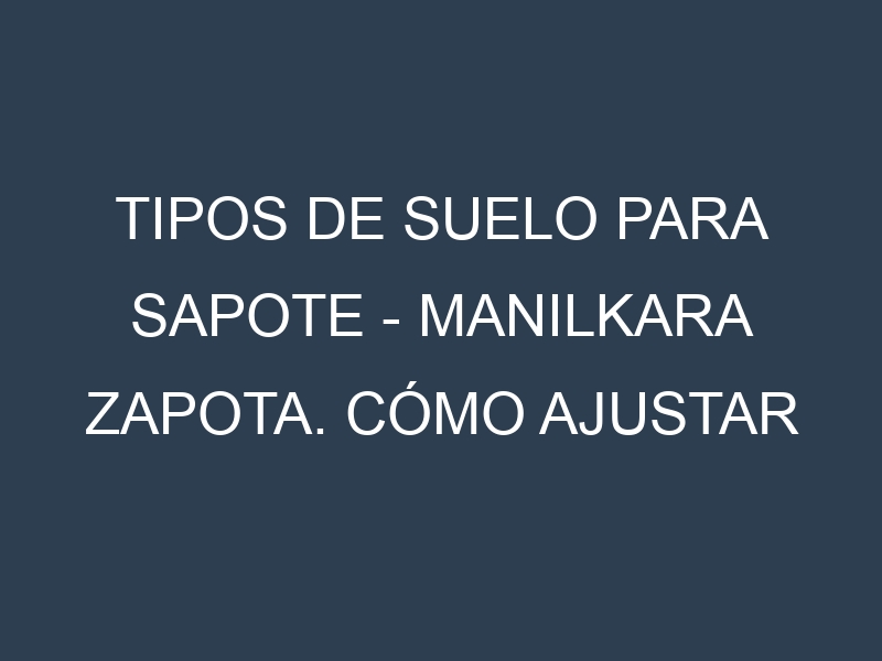 Tipos de suelo para Sapote – Manilkara zapota. Cómo ajustar las condiciones del suelo.