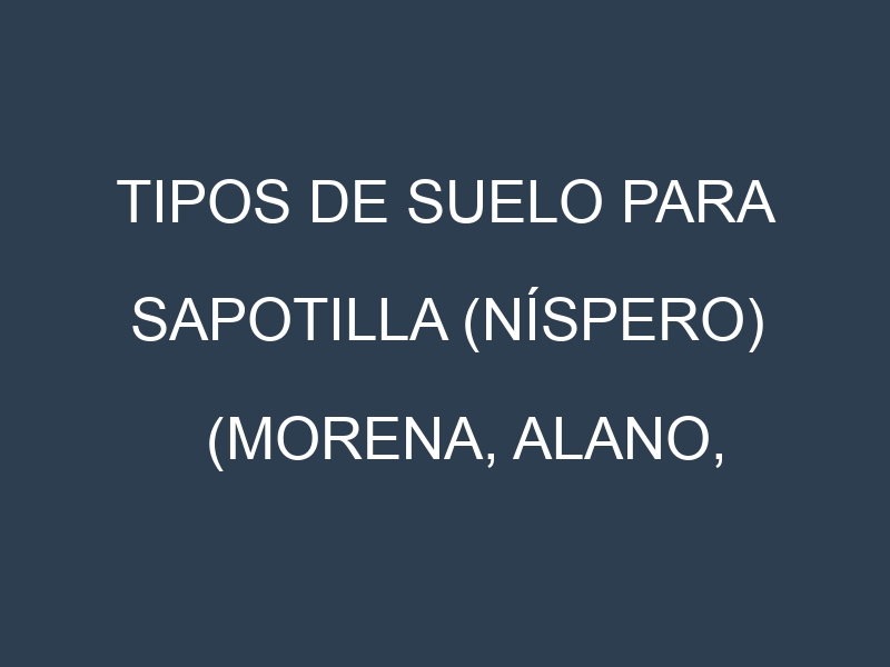 Tipos de suelo para Sapotilla (níspero) (Morena, Alano, Prolific, Hasya, Silas Woods). Cómo ajustar las condiciones del suelo.