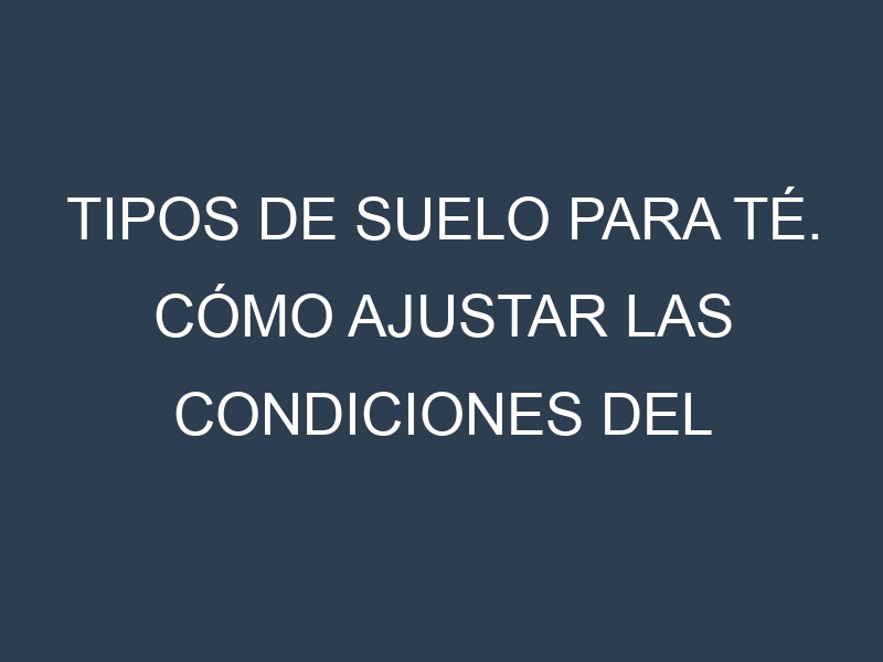 Tipos de suelo para Té. Cómo ajustar las condiciones del suelo.